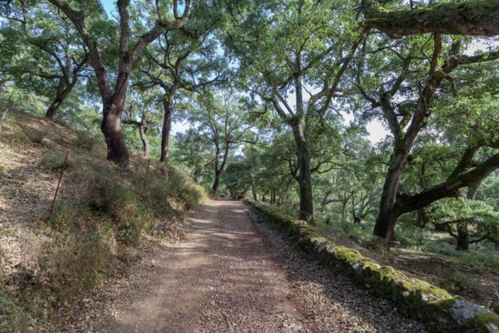 Navahermosa  Finca Montemateo מראה חיצוני תמונה